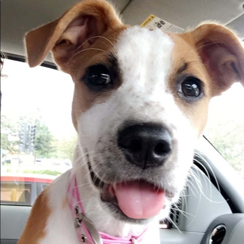 Meet your Posher, Carley